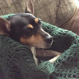 Meet your Posher, Brenda